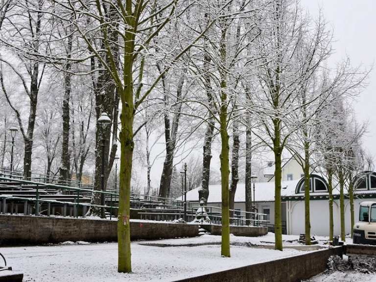 Neue Kaiserlinden 2013