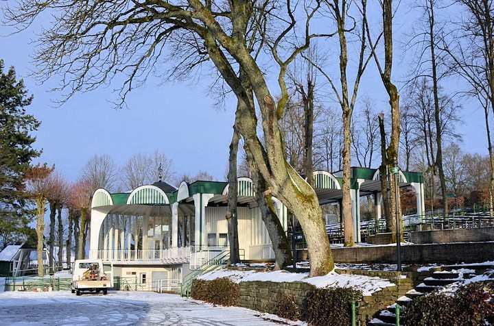 Austausch erkrankter Bäume