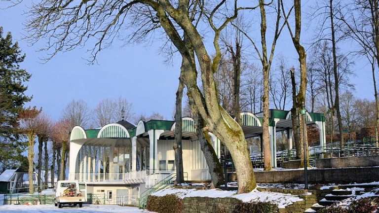 Austausch erkrankter Bäume