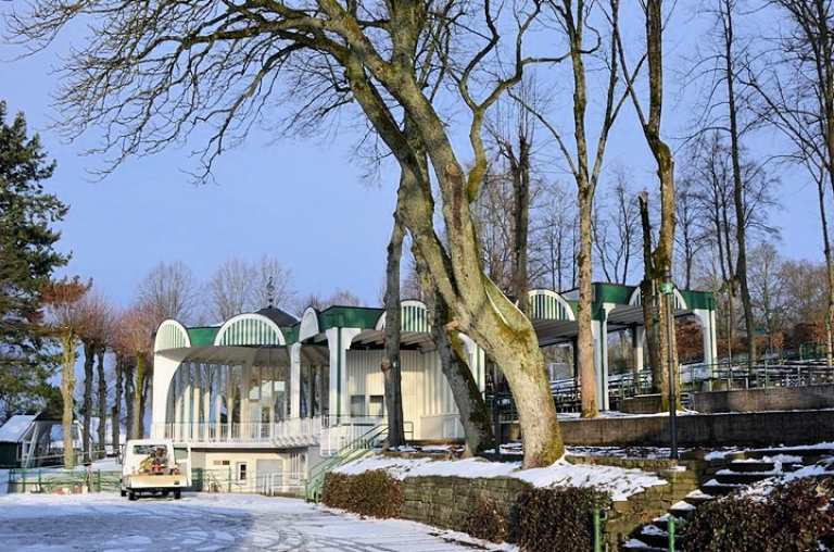 Austausch erkrankter Bäume