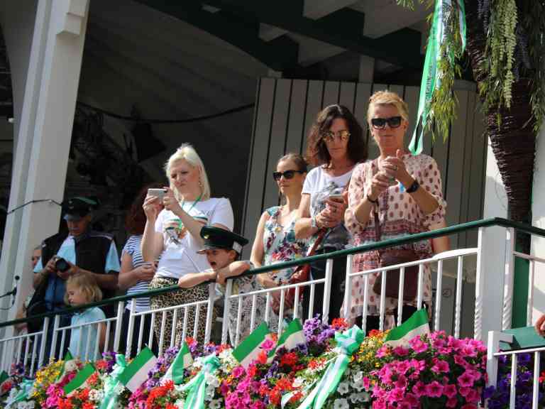 Auswahl Wolfgang (151)