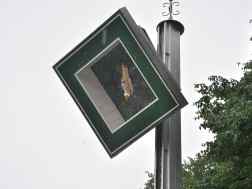 Olper Schützenfest 2017 - 290