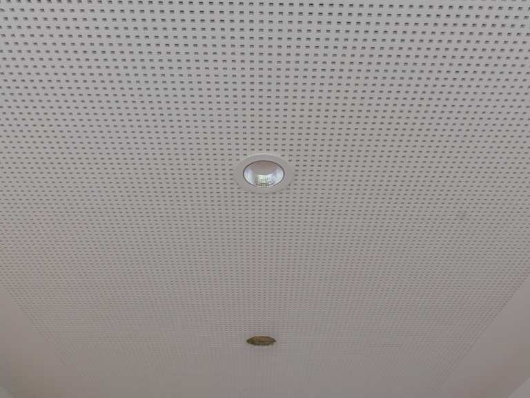 speisesaal-24.04.19-7