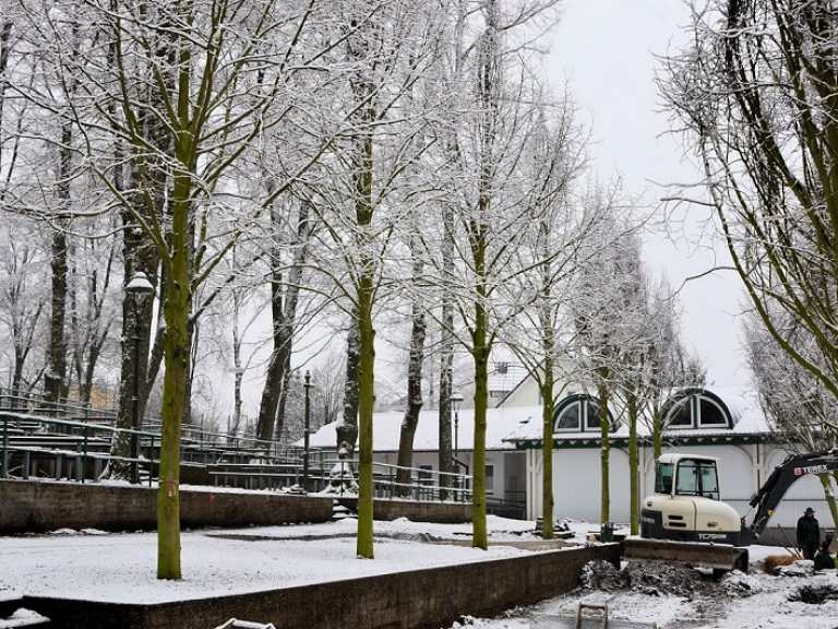 Neue Kaiserlinden 2013