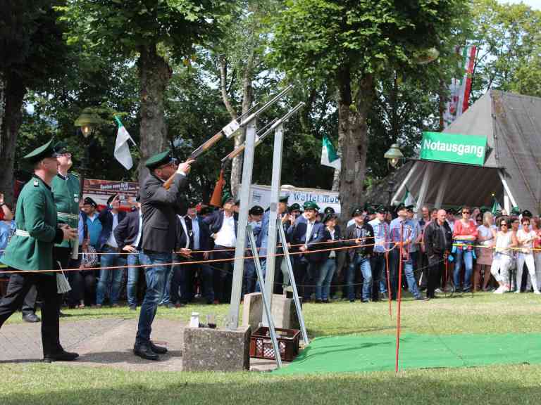 Auswahl Wolfgang (241)