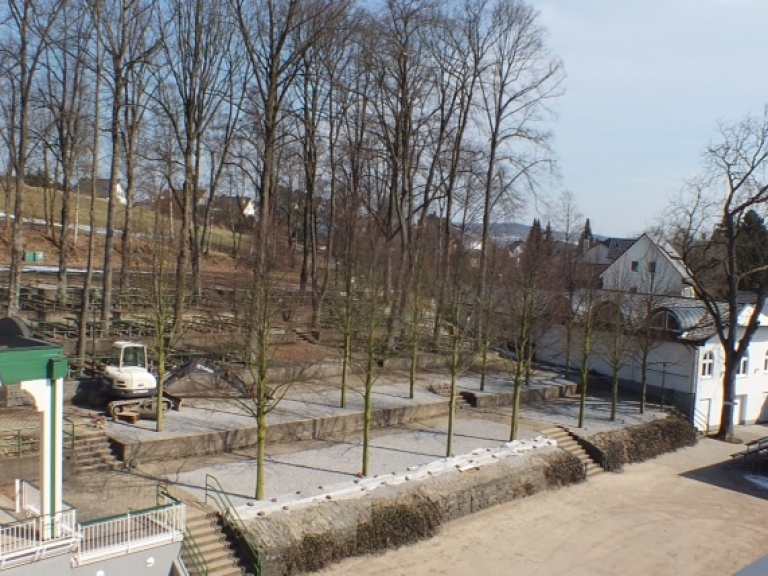 Neue Kaiserlinden 2013