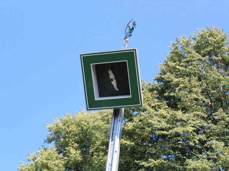 schuetzenfest-2018-229