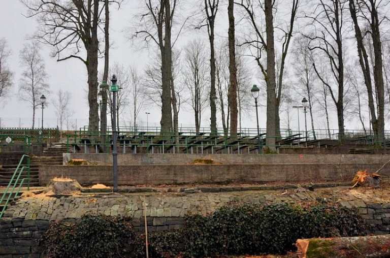 Austausch erkrankter Bäume