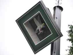 Olper Schützenfest 2017 - 287