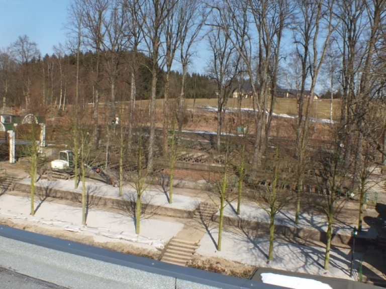 Neue Kaiserlinden 2013