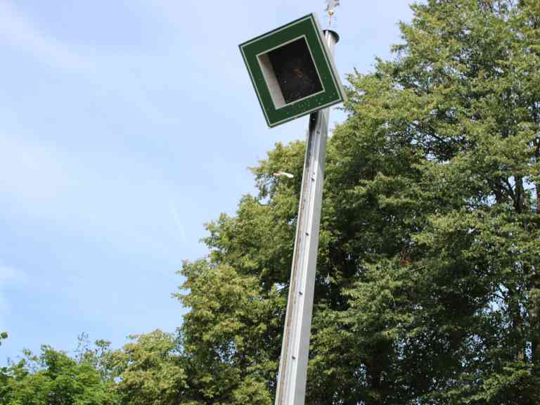 Auswahl Wolfgang (246)