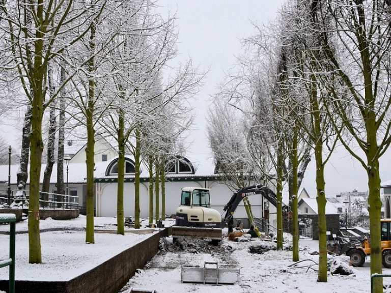 Neue Kaiserlinden 2013