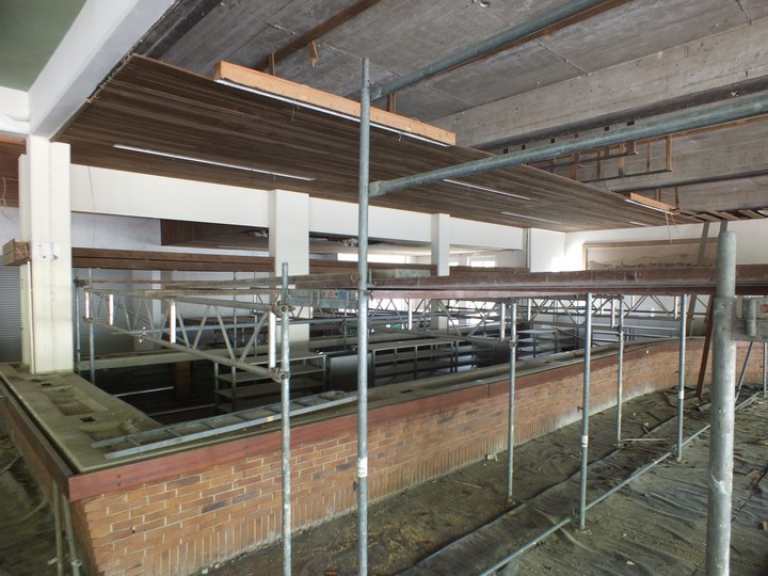 Erneuerung der Decke im Hauptzelt 2016 Erneuerung der Decke im Hauptzelt 2016