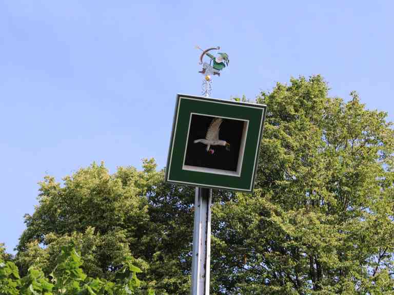 Auswahl Wolfgang (239)