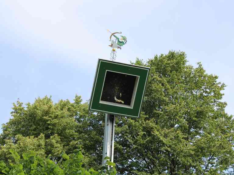 Auswahl Wolfgang (245)