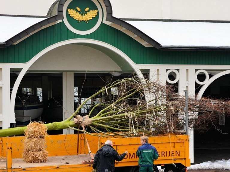 Neue Kaiserlinden 2013